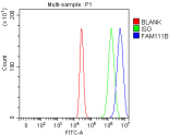 Flow Cytometry analysis of MCF-7 cells using anti-FAM111B antibody. Overlay histogram showing MCF-7 cells stained with (Blue line). To facilitate intracellular staining, cells were fixed with 4% paraformaldehyde and permeabilized with permeabilization buffer. The cells were blocked with 10% normal goat serum. And then incubated with rabbit anti-FAM111B antibody (1 ug/million cells) for 30 min at 20oC. DyLight 488 conjugated goat anti-rabbit IgG (5-10 ug/million cells) was used as secondary antibody for 30 minutes at 20oC. Isotype control antibody (Green line) was rabbit IgG (1 ug/million cells) used under the same conditions. Unlabelled sample (Red line) was also used as a control.