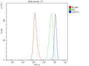 Flow Cytometry analysis of SH-SY5Y cells using anti-GIGYF1 antibody. Overlay histogram showing SH-SY5Y cells stained with (Blue line). To facilitate intracellular staining, cells were fixed with 4% paraformaldehyde and permeabilized with permeabilization buffer. The cells were blocked with 10% normal goat serum. And then incubated with rabbit anti-GIGYF1 antibody (1 ug/million cells) for 30 min at 20oC. DyLight 488 conjugated goat anti-rabbit IgG (5-10 ug/million cells) was used as secondary antibody for 30 minutes at 20oC. Isotype control antibody (Green line) was rabbit IgG (1 ug/million cells) used under the same conditions. Unlabelled sample (Red line) was also used as a control.