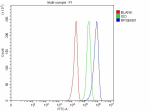 Flow Cytometry analysis of U251 cells using anti- p70 S6K antibody. Overlay histogram showing U251 cells stained with (Blue line). To facilitate intracellular staining, cells were fixed with 4% paraformaldehyde and permeabilized with permeabilization buffer. The cells were blocked with 10% normal goat serum. And then incubated with rabbit anti- p70 S6K antibody (1 ug/million cells) for 30 min at 20oC. DyLight 488 conjugated goat anti-rabbit IgG (5-10 ug/million cells) was used as secondary antibody for 30 minutes at 20oC. Isotype control antibody (Green line) was rabbit IgG (1 ug/million cells) used under the same conditions. Unlabelled sample without incubation with primary antibody and secondary antibody (Red line) was used as a blank control.