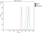 Flow Cytometry analysis of cells using anti-PPP2R5E antibody. Overlay histogram showing cells stained with (Blue line). To facilitate intracellular staining, cells were fixed with 4% paraformaldehyde and permeabilized with permeabilization buffer. The cells were blocked with 10% normal goat serum. And then incubated with rabbit anti-PPP2R5E antibody (1 ug/million cells) for 30 min at 20oC. DyLight 488 conjugated goat anti-rabbit IgG (5-10 ug/million cells) was used as secondary antibody for 30 minutes at 20oC. Isotype control antibody (Green line) was rabbit IgG (1 ug/million cells) used under the same conditions. Unlabelled sample without incubation with primary antibody and secondary antibody (Red line) was used as a blank control.