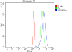 Flow Cytometry analysis of U20S cells using anti-PPP2R5E antibody. Overlay histogram showing U20S cells stained with (Blue line). To facilitate intracellular staining, cells were fixed with 4% paraformaldehyde and permeabilized with permeabilization buffer. The cells were blocked with 10% normal goat serum. And then incubated with rabbit anti-PPP2R5E antibody (1 ug/million cells) for 30 min at 20oC. DyLight 488 conjugated goat anti-rabbit IgG (5-10 ug/million cells) was used as secondary antibody for 30 minutes at 20oC. Isotype control antibody (Green line) was rabbit IgG (1 ug/million cells) used under the same conditions. Unlabelled sample without incubation with primary antibody and secondary antibody (Red line) was used as a blank control.