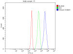 Flow Cytometry analysis of Jurkat cells using anti-FASLG antibody. Overlay histogram showing Jurkat cells stained with (Blue line). The cells were fixed with 4% paraformaldehyde and blocked with 10% normal goat serum. And then incubated with rabbit anti-FASLG antibody (1 ug/million cells) for 30 min at 20oC. DyLight 488 conjugated goat anti-rabbit IgG (5-10 ug/million cells) was used as secondary antibody for 30 minutes at 20oC. Isotype control antibody (Green line) was rabbit IgG (1 ug/million cells) used under the same conditions. Unlabelled sample without incubation with primary antibody and secondary antibody (Red line) was used as a blank control.