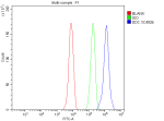 Flow Cytometry analysis of HepG2 cells using anti-DDC antibody. Overlay histogram showing HepG2 cells stained with (Blue line). To facilitate intracellular staining, cells were fixed with 4% paraformaldehyde and permeabilized with permeabilization buffer. The cells were blocked with 10% normal goat serum. And then incubated with rabbit anti-DDC antibody (1 ug/million cells) for 30 min at 20oC. DyLight 488 conjugated goat anti-rabbit IgG (5-10 ug/million cells) was used as secondary antibody for 30 minutes at 20oC. Isotype control antibody (Green line) was rabbit IgG (1 ug/million cells) used under the same conditions. Unlabelled sample without incubation with primary antibody and secondary antibody (Red line) was used as a blank control.