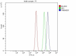 Flow Cytometry analysis of Caco-2 cells using anti-TMEM201 antibody. Overlay histogram showing Caco-2 cells stained with (Blue line). To facilitate intracellular staining, cells were fixed with 4% paraformaldehyde and permeabilized with permeabilization buffer. The cells were blocked with 10% normal goat serum. And then incubated with rabbit anti-TMEM201 antibody (1 ug/million cells) for 30 min at 20oC. DyLight 488 conjugated goat anti-rabbit IgG (5-10 ug/million cells) was used as secondary antibody for 30 minutes at 20oC. Isotype control antibody (Green line) was rabbit IgG (1 ug/million cells) used under the same conditions. Unlabelled sample without incubation with primary antibody and secondary antibody (Red line) was used as a blank control.