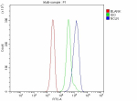 Flow Cytometry analysis of JK cells using anti-NCLN antibody. Overlay histogram showing JK cells stained with (Blue line). To facilitate intracellular staining, cells were fixed with 4% paraformaldehyde and permeabilized with permeabilization buffer. The cells were blocked with 10% normal goat serum. And then incubated with rabbit anti-NCLN antibody (1 ug/million cells) for 30 min at 20oC. DyLight 488 conjugated goat anti-rabbit IgG (5-10 ug/million cells) was used as secondary antibody for 30 minutes at 20oC. Isotype control antibody (Green line) was rabbit IgG (1 ug/million cells) used under the same conditions. Unlabelled sample without incubation with primary antibody and secondary antibody (Red line) was used as a blank control.