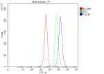 Flow Cytometry analysis of Hela cells using anti-TGFBI antibody. Overlay histogram showing Hela cells stained with (Blue line). The cells were fixed with 4% paraformaldehyde and blocked with 10% normal goat serum. And then incubated with rabbit anti-TGFBI antibody (1 ug/million cells) for 30 min at 20oC. DyLight 488 conjugated goat anti-rabbit IgG (5-10 ug/million cells) was used as secondary antibody for 30 minutes at 20oC. Isotype control antibody (Green line) was rabbit IgG (1 ug/million cells) used under the same conditions. Unlabelled sample without incubation with primary antibody and secondary antibody (Red line) was used as a blank control.