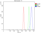 Flow Cytometry analysis of MCF-7 cells using anti-STRBP antibody. Overlay histogram showing MCF-7 cells stained with (Blue line). To facilitate intracellular staining, cells were fixed with 4% paraformaldehyde and permeabilized with permeabilization buffer. The cells were blocked with 10% normal goat serum. And then incubated with rabbit anti-STRBP antibody (1 ug/million cells) for 30 min at 20oC. DyLight 488 conjugated goat anti-rabbit IgG (5-10 ug/million cells) was used as secondary antibody for 30 minutes at 20oC. Isotype control antibody (Green line) was rabbit IgG (1 ug/million cells) used under the same conditions. Unlabelled sample (Red line) was also used as a control.