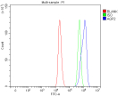 Flow Cytometry analysis of mouse RAW264.7 cells using anti-Aqp2 antibody. Overlay histogram showing RAW264.7 cells stained with (Blue line). To facilitate intracellular staining, cells were fixed with 4% paraformaldehyde and permeabilized with permeabilization buffer. The cells were blocked with 10% normal goat serum. And then incubated with rabbit anti-Aqp2 antibody (1 ug/million cells) for 30 min at 20oC. DyLight 488 conjugated goat anti-rabbit IgG (5-10 ug/million cells) was used as secondary antibody for 30 minutes at 20oC. Isotype control antibody (Green line) was rabbit IgG (1 ug/million cells) used under the same conditions. Unlabelled sample (Red line) was also used as a control.