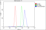 Flow Cytometry analysis of U937 cells using anti-TGOLN2 antibody. Overlay histogram showing U937 cells stained with (Blue line). To facilitate intracellular staining, cells were fixed with 4% paraformaldehyde and permeabilized with permeabilization buffer. The cells were blocked with 10% normal goat serum. And then incubated with rabbit anti-TGOLN2 antibody (1 ug/million cells) for 30 min at 20oC. DyLight 488 conjugated goat anti-rabbit IgG (5-10 ug/million cells) was used as secondary antibody for 30 minutes at 20oC. Isotype control antibody (Green line) was rabbit IgG (1 ug/million cells) used under the same conditions. Unlabelled sample without incubation with primary antibody and secondary antibody (Red line) was used as a blank control.