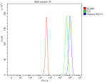 Flow Cytometry analysis of 293T cells using anti-Histone H4 antibody. Overlay histogram showing 293T cells stained with (Blue line). To facilitate intracellular staining, cells were fixed with 4% paraformaldehyde and permeabilized with permeabilization buffer. The cells were blocked with 10% normal goat serum. And then incubated with rabbit anti-Histone H4 antibody (1 ug/million cells) for 30 min at 20oC. DyLight 488 conjugated goat anti-rabbit IgG (5-10 ug/million cells) was used as secondary antibody for 30 minutes at 20oC. Isotype control antibody (Green line) was rabbit IgG (1 ug/million cells) used under the same conditions. Unlabelled sample without incubation with primary antibody and secondary antibody (Red line) was used as a blank control.