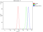 Flow Cytometry analysis of C6 cells using anti-Histone H4 antibody. Overlay histogram showing C6 cells stained with (Blue line). To facilitate intracellular staining, cells were fixed with 4% paraformaldehyde and permeabilized with permeabilization buffer. The cells were blocked with 10% normal goat serum. And then incubated with rabbit anti-Histone H4 antibody (1 ug/million cells) for 30 min at 20oC. DyLight 488 conjugated goat anti-rabbit IgG (5-10 ug/million cells) was used as secondary antibody for 30 minutes at 20oC. Isotype control antibody (Green line) was rabbit IgG (1 ug/million cells) used under the same conditions. Unlabelled sample without incubation with primary antibody and secondary antibody (Red line) was used as a blank control.