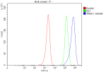 Flow Cytometry analysis of MCF-7 cells using anti-TRIM11 antibody. Overlay histogram showing MCF-7 cells stained with (Blue line). To facilitate intracellular staining, cells were fixed with 4% paraformaldehyde and permeabilized with permeabilization buffer. The cells were blocked with 10% normal goat serum. And then incubated with rabbit anti-TRIM11 antibody (1 ug/million cells) for 30 min at 20oC. DyLight 488 conjugated goat anti-rabbit IgG (5-10 ug/million cells) was used as secondary antibody for 30 minutes at 20oC. Isotype control antibody (Green line) was rabbit IgG (1 ug/million cells) used under the same conditions. Unlabelled sample without incubation with primary antibody and secondary antibody (Red line) was used as a blank control.