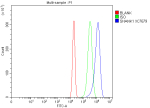 Flow Cytometry analysis of U2OS cells using anti-SHANK1 antibody. Overlay histogram showing U2OS cells stained with (Blue line). To facilitate intracellular staining, cells were fixed with 4% paraformaldehyde and permeabilized with permeabilization buffer. The cells were blocked with 10% normal goat serum. And then incubated with rabbit anti-SHANK1 antibody (1 ug/million cells) for 30 min at 20oC. DyLight 488 conjugated goat anti-rabbit IgG (5-10 ug/million cells) was used as secondary antibody for 30 minutes at 20oC. Isotype control antibody (Green line) was rabbit IgG (1 ug/million cells) used under the same conditions. Unlabelled sample without incubation with primary antibody and secondary antibody (Red line) was used as a blank control.