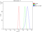 Flow Cytometry analysis of cells using anti-RBCK1 antibody. Overlay histogram showing cells stained with (Blue line). To facilitate intracellular staining, cells were fixed with 4% paraformaldehyde and permeabilized with permeabilization buffer. The cells were blocked with 10% normal goat serum. And then incubated with rabbit anti-RBCK1 antibody (1 ug/million cells) for 30 min at 20oC. DyLight 488 conjugated goat anti-rabbit IgG (5-10 ug/million cells) was used as secondary antibody for 30 minutes at 20oC. Isotype control antibody (Green line) was rabbit IgG (1 ug/million cells) used under the same conditions. Unlabelled sample without incubation with primary antibody and secondary antibody (Red line) was used as a blank control.