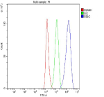 Flow Cytometry analysis of 293T cells using anti-RPS6KA3 antibody. Overlay histogram showing 293T cells stained with (Blue line). To facilitate intracellular staining, cells were fixed with 4% paraformaldehyde and permeabilized with permeabilization buffer. The cells were blocked with 10% normal goat serum. And then incubated with rabbit anti-RPS6KA3 antibody (1 ug/million cells) for 30 min at 20oC. DyLight 488 conjugated goat anti-rabbit IgG (5-10 ug/million cells) was used as secondary antibody for 30 minutes at 20oC. Isotype control antibody (Green line) was rabbit IgG (1 ug/million cells) used under the same conditions. Unlabelled sample without incubation with primary antibody and secondary antibody (Red line) was used as a blank control.