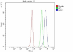 Flow Cytometry analysis of K562 cells using anti-GIPC3 antibody. Overlay histogram showing K562 cells stained with (Blue line). To facilitate intracellular staining, cells were fixed with 4% paraformaldehyde and permeabilized with permeabilization buffer. The cells were blocked with 10% normal goat serum. And then incubated with rabbit anti-GIPC3 antibody (1 ug/million cells) for 30 min at 20oC. DyLight 488 conjugated goat anti-rabbit IgG (5-10 ug/million cells) was used as secondary antibody for 30 minutes at 20oC. Isotype control antibody (Green line) was rabbit IgG (1 ug/million cells) used under the same conditions. Unlabelled sample without incubation with primary antibody and secondary antibody (Red line) was used as a blank control.