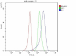 Flow Cytometry analysis of MOLT-4 cells using anti-IL2 antibody. Overlay histogram showing MOLT-4 cells stained with (Blue line). The cells were fixed with 4% paraformaldehyde and blocked with 10% normal goat serum. And then incubated with rabbit anti-IL2 antibody (1 ug/million cells) for 30 min at 20oC. DyLight 488 conjugated goat anti-rabbit IgG (5-10 ug/million cells) was used as secondary antibody for 30 minutes at 20oC. Isotype control antibody (Green line) was rabbit IgG (1 ug/million cells) used under the same conditions. Unlabelled sample without incubation with primary antibody and secondary antibody (Red line) was used as a blank control.