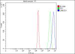 Flow Cytometry analysis of RT4 cells using anti-LMNTD1 antibody. Overlay histogram showing RT4 cells stained with (Blue line). To facilitate intracellular staining, cells were fixed with 4% paraformaldehyde and permeabilized with permeabilization buffer. The cells were blocked with 10% normal goat serum. And then incubated with rabbit anti-LMNTD1 antibody (1 ug/million cells) for 30 min at 20oC. DyLight 488 conjugated goat anti-rabbit IgG (5-10 ug/million cells) was used as secondary antibody for 30 minutes at 20oC. Isotype control antibody (Green line) was rabbit IgG (1 ug/million cells) used under the same conditions. Unlabelled sample (Red line) was also used as a control.