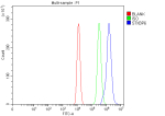 Flow Cytometry analysis of HEL cells using anti-STXBP6 antibody. Overlay histogram showing HEL cells stained with (Blue line). To facilitate intracellular staining, cells were fixed with 4% paraformaldehyde and permeabilized with permeabilization buffer. The cells were blocked with 10% normal goat serum. And then incubated with rabbit anti-STXBP6 antibody (1 ug/million cells) for 30 min at 20oC. DyLight 488 conjugated goat anti-rabbit IgG (5-10 ug/million cells) was used as secondary antibody for 30 minutes at 20oC. Isotype control antibody (Green line) was rabbit IgG (1 ug/million cells) used under the same conditions. Unlabelled sample (Red line) was also used as a control.