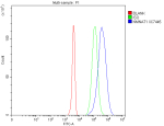Flow Cytometry analysis of 293T cells using anti-NMNAT1 antibody. Overlay histogram showing 293T cells stained with (Blue line). To facilitate intracellular staining, cells were fixed with 4% paraformaldehyde and permeabilized with permeabilization buffer. The cells were blocked with 10% normal goat serum. And then incubated with rabbit anti-NMNAT1 antibody (1 ug/million cells) for 30 min at 20oC. DyLight 488 conjugated goat anti-rabbit IgG (5-10 ug/million cells) was used as secondary antibody for 30 minutes at 20oC. Isotype control antibody (Green line) was rabbit IgG (1 ug/million cells) used under the same conditions. Unlabelled sample without incubation with primary antibody and secondary antibody (Red line) was used as a blank control.