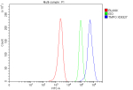 Flow Cytometry analysis of MCF-7 cells using anti-TMPO antibody. Overlay histogram showing MCF-7 cells stained with (Blue line). To facilitate intracellular staining, cells were fixed with 4% paraformaldehyde and permeabilized with permeabilization buffer. The cells were blocked with 10% normal goat serum. And then incubated with rabbit anti-TMPO antibody (1 ug/million cells) for 30 min at 20oC. DyLight 488 conjugated goat anti-rabbit IgG (5-10 ug/million cells) was used as secondary antibody for 30 minutes at 20oC. Isotype control antibody (Green line) was rabbit IgG (1 ug/million cells) used under the same conditions. Unlabelled sample without incubation with primary antibody and secondary antibody (Red line) was used as a blank control.