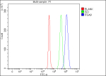 Flow Cytometry analysis of SH-SY5Y cells using anti-ITGA9 antibody. Overlay histogram showing SH-SY5Y cells stained with (Blue line). The cells were fixed with 4% paraformaldehyde and blocked with 10% normal goat serum. And then incubated with rabbit anti-ITGA9 antibody (1 ug/million cells) for 30 min at 20oC. DyLight 488 conjugated goat anti-rabbit IgG (5-10 ug/million cells) was used as secondary antibody for 30 minutes at 20oC. Isotype control antibody (Green line) was rabbit IgG (1 ug/million cells) used under the same conditions. Unlabelled sample (Red line) was also used as a control.