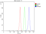 Flow Cytometry analysis of HEL cells using anti-SPRED1 antibody. Overlay histogram showing HEL cells stained with (Blue line). The cells were fixed with 4% paraformaldehyde and blocked with 10% normal goat serum. And then incubated with rabbit anti-SPRED1 antibody (1 ug/million cells) for 30 min at 20oC. DyLight 488 conjugated goat anti-rabbit IgG (5-10 ug/million cells) was used as secondary antibody for 30 minutes at 20oC. Isotype control antibody (Green line) was rabbit IgG (1 ug/million cells) used under the same conditions. Unlabelled sample without incubation with primary antibody and secondary antibody (Red line) was used as a blank control.