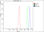 Flow Cytometry analysis of U251 cells using anti-ADGRE5 antibody. Overlay histogram showing U251 cells stained with (Blue line). The cells were fixed with 4% paraformaldehyde and blocked with 10% normal goat serum. And then incubated with rabbit anti-ADGRE5 antibody (1 ug/million cells) for 30 min at 20oC. DyLight 488 conjugated goat anti-rabbit IgG (5-10 ug/million cells) was used as secondary antibody for 30 minutes at 20oC. Isotype control antibody (Green line) was rabbit IgG (1 ug/million cells) used under the same conditions. Unlabelled sample (Red line) was also used as a control.