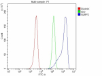 Flow Cytometry analysis of HEL cells using anti-NLRP2 antibody. Overlay histogram showing HEL cells stained with (Blue line). To facilitate intracellular staining, cells were fixed with 4% paraformaldehyde and permeabilized with permeabilization buffer. The cells were blocked with 10% normal goat serum. And then incubated with rabbit anti-NLRP2 antibody (1 ug/million cells) for 30 min at 20oC. DyLight 488 conjugated goat anti-rabbit IgG (5-10 ug/million cells) was used as secondary antibody for 30 minutes at 20oC. Isotype control antibody (Green line) was rabbit IgG (1 ug/million cells) used under the same conditions. Unlabelled sample without incubation with primary antibody and secondary antibody (Red line) was used as a blank control.