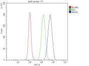 Flow cytometry analysis of fixed and permeabilized human A431 cells with Annexin A1 antibody at 1ug/million cells (blocked with goat sera); Red=cells alone, Green=isotype control, Blue= Annexin A1 antibody.