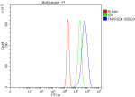 Flow Cytometry analysis of RT4 cells using anti-TMPRSS4 antibody. Overlay histogram showing RT4 cells stained with (Blue line). The cells were fixed with 4% paraformaldehyde and blocked with 10% normal goat serum. And then incubated with rabbit anti-TMPRSS4 antibody (1 ug/million cells) for 30 min at 20oC. DyLight 488 conjugated goat anti-rabbit IgG (5-10 ug/million cells) was used as secondary antibody for 30 minutes at 20oC. Isotype control antibody (Green line) was rabbit IgG (1 ug/million cells) used under the same conditions. Unlabelled sample without incubation with primary antibody and secondary antibody (Red line) was used as a blank control.