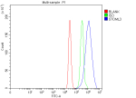 Flow Cytometry analysis of MCF-7 cells using anti-STOML3 antibody. Overlay histogram showing MCF-7 cells stained with (Blue line). The cells were fixed with 4% paraformaldehyde and blocked with 10% normal goat serum. And then incubated with rabbit anti-STOML3 antibody (1 ug/million cells) for 30 min at 20oC. DyLight 488 conjugated goat anti-rabbit IgG (5-10 ug/million cells) was used as secondary antibody for 30 minutes at 20oC. Isotype control antibody (Green line) was rabbit IgG (1 ug/million cells) used under the same conditions. Unlabelled sample (Red line) was also used as a control.