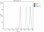 Flow Cytometry analysis of K562 cells using anti-APOBEC3C antibody. Overlay histogram showing K562 cells stained with (Blue line). To facilitate intracellular staining, cells were fixed with 4% paraformaldehyde and permeabilized with permeabilization buffer. The cells were blocked with 10% normal goat serum. And then incubated with rabbit anti-APOBEC3C antibody (1 ug/million cells) for 30 min at 20oC. DyLight 488 conjugated goat anti-rabbit IgG (5-10 ug/million cells) was used as secondary antibody for 30 minutes at 20oC. Isotype control antibody (Green line) was rabbit IgG (1 ug/million cells) used under the same conditions. Unlabelled sample without incubation with primary antibody and secondary antibody (Red line) was used as a blank control.