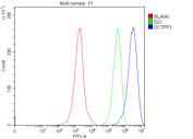 Flow Cytometry analysis of human JK cells using anti-DCTPP1 antibody. Overlay histogram showing JK cells stained with (Blue line). To facilitate intracellular staining, cells were fixed with 4% paraformaldehyde and permeabilized with permeabilization buffer. The cells were blocked with 10% normal goat serum. And then incubated with rabbit anti-DCTPP1 antibody (1 ug/million cells) for 30 min at 20oC. DyLight 488 conjugated goat anti-rabbit IgG (5-10 ug/million cells) was used as secondary antibody for 30 minutes at 20oC. Isotype control antibody (Green line) was rabbit IgG (1 ug/million cells) used under the same conditions. Unlabelled sample without incubation with primary antibody and secondary antibody (Red line) was used as a blank control.