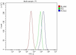 Flow Cytometry analysis of Hela cells using anti-ACSL5 antibody. Overlay histogram showing Hela cells stained with (Blue line). The cells were fixed with 4% paraformaldehyde and blocked with 10% normal goat serum. And then incubated with rabbit anti-ACSL5 antibody (1 ug/million cells) for 30 min at 20oC. DyLight 488 conjugated goat anti-rabbit IgG (5-10 ug/million cells) was used as secondary antibody for 30 minutes at 20oC. Isotype control antibody (Green line) was rabbit IgG (1 ug/million cells) used under the same conditions. Unlabelled sample without incubation with primary antibody and secondary antibody (Red line) was used as a blank control.