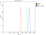Flow Cytometry analysis of 293T cells using anti-SIPA1 antibody. Overlay histogram showing 293T cells stained with (Blue line). To facilitate intracellular staining, cells were fixed with 4% paraformaldehyde and permeabilized with permeabilization buffer. The cells were blocked with 10% normal goat serum. And then incubated with rabbit anti-SIPA1 antibody (1 ug/million cells) for 30 min at 20oC. DyLight 488 conjugated goat anti-rabbit IgG (5-10 ug/million cells) was used as secondary antibody for 30 minutes at 20oC. Isotype control antibody (Green line) was rabbit IgG (1 ug/million cells) used under the same conditions. Unlabelled sample without incubation with primary antibody and secondary antibody (Red line) was used as a blank control.