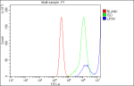 Flow Cytometry analysis of RAJI cells using anti-LPXN antibody. Overlay histogram showing RAJI cells stained with (Blue line). To facilitate intracellular staining, cells were fixed with 4% paraformaldehyde and permeabilized with permeabilization buffer. The cells were blocked with 10% normal goat serum. And then incubated with rabbit anti-LPXN antibody (1 ug/million cells) for 30 min at 20oC. DyLight 488 conjugated goat anti-rabbit IgG (5-10 ug/million cells) was used as secondary antibody for 30 minutes at 20oC. Isotype control antibody (Green line) was rabbit IgG (1 ug/million cells) used under the same conditions. Unlabelled sample (Red line) was also used as a control.
