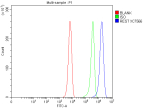 Flow Cytometry analysis of K562 cells using anti-REST antibody. Overlay histogram showing K562 cells stained with (Blue line). To facilitate intracellular staining, cells were fixed with 4% paraformaldehyde and permeabilized with permeabilization buffer. The cells were blocked with 10% normal goat serum. And then incubated with rabbit anti-REST antibody (1 ug/million cells) for 30 min at 20oC. DyLight 488 conjugated goat anti-rabbit IgG (5-10 ug/million cells) was used as secondary antibody for 30 minutes at 20oC. Isotype control antibody (Green line) was rabbit IgG (1 ug/million cells) used under the same conditions. Unlabelled sample without incubation with primary antibody and secondary antibody (Red line) was used as a blank control.