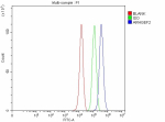 Flow Cytometry analysis of PC-3 cells using anti-ARHGEF2 antibody. Overlay histogram showing PC-3 cells stained with (Blue line). To facilitate intracellular staining, cells were fixed with 4% paraformaldehyde and permeabilized with permeabilization buffer. The cells were blocked with 10% normal goat serum. And then incubated with rabbit anti-ARHGEF2 antibody (1 ug/million cells) for 30 min at 20oC. DyLight 488 conjugated goat anti-rabbit IgG (5-10 ug/million cells) was used as secondary antibody for 30 minutes at 20oC. Isotype control antibody (Green line) was rabbit IgG (1 ug/million cells) used under the same conditions. Unlabelled sample without incubation with primary antibody and secondary antibody (Red line) was used as a blank control.