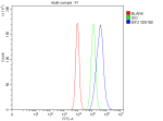 Flow Cytometry analysis of Caco-2 cells using anti-EIF2A antibody. Overlay histogram showing Caco-2 cells stained with (Blue line). The cells were fixed with 4% paraformaldehyde and blocked with 10% normal goat serum. And then incubated with rabbit anti-EIF2A antibody (1 ug/million cells) for 30 min at 20oC. DyLight 488 conjugated goat anti-rabbit IgG (5-10 ug/million cells) was used as secondary antibody for 30 minutes at 20oC. Isotype control antibody (Green line) was rabbit IgG (1 ug/million cells) used under the same conditions. Unlabelled sample without incubation with primary antibody and secondary antibody (Red line) was used as a blank control.