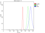 Flow Cytometry analysis of RT4 cells using anti-SSH3 antibody. Overlay histogram showing RT4 cells stained with (Blue line). To facilitate intracellular staining, cells were fixed with 4% paraformaldehyde and permeabilized with permeabilization buffer. The cells were blocked with 10% normal goat serum. And then incubated with rabbit anti-SSH3 antibody (1 ug/million cells) for 30 min at 20oC. DyLight 488 conjugated goat anti-rabbit IgG (5-10 ug/million cells) was used as secondary antibody for 30 minutes at 20oC. Isotype control antibody (Green line) was rabbit IgG (1 ug/million cells) used under the same conditions. Unlabelled sample (Red line) was also used as a control.