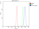 Flow Cytometry analysis of human HEL cells using anti-SP110 antibody. Overlay histogram showing HEL cells stained with (Blue line). To facilitate intracellular staining, cells were fixed with 4% paraformaldehyde and permeabilized with permeabilization buffer. The cells were blocked with 10% normal goat serum. And then incubated with rabbit anti-SP110 antibody (1 ug/million cells) for 30 min at 20oC. DyLight 488 conjugated goat anti-rabbit IgG (5-10 ug/million cells) was used as secondary antibody for 30 minutes at 20oC. Isotype control antibody (Green line) was rabbit IgG (1 ug/million cells) used under the same conditions. Unlabelled sample without incubation with primary antibody and secondary antibody (Red line) was used as a blank control.