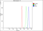 Flow Cytometry analysis of 293T cells using anti-SSH1 antibody. Overlay histogram showing 293T cells stained with (Blue line). To facilitate intracellular staining, cells were fixed with 4% paraformaldehyde and permeabilized with permeabilization buffer. The cells were blocked with 10% normal goat serum. And then incubated with rabbit anti-SSH1 antibody (1 ug/million cells) for 30 min at 20oC. DyLight 488 conjugated goat anti-rabbit IgG (5-10 ug/million cells) was used as secondary antibody for 30 minutes at 20oC. Isotype control antibody (Green line) was rabbit IgG (1 ug/million cells) used under the same conditions. Unlabelled sample (Red line) was also used as a control.