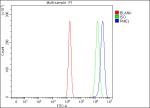 Flow Cytometry analysis of U20S cells using anti-PMEL antibody. Overlay histogram showing U20S cells stained with (Blue line). To facilitate intracellular staining, cells were fixed with 4% paraformaldehyde and permeabilized with permeabilization buffer. The cells were blocked with 10% normal goat serum. And then incubated with rabbit anti-PMEL antibody (1 ug/million cells) for 30 min at 20oC. DyLight 488 conjugated goat anti-rabbit IgG (5-10 ug/million cells) was used as secondary antibody for 30 minutes at 20oC. Isotype control antibody (Green line) was rabbit IgG (1 ug/million cells) used under the same conditions. Unlabelled sample (Red line) was also used as a control.