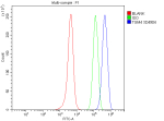 Flow Cytometry analysis of SH-SY5Y cells using anti-TGM4 antibody. Overlay histogram showing SH-SY5Y cells stained with (Blue line). To facilitate intracellular staining, cells were fixed with 4% paraformaldehyde and permeabilized with permeabilization buffer. The cells were blocked with 10% normal goat serum. And then incubated with rabbit anti-TGM4 antibody (1 ug/million cells) for 30 min at 20oC. DyLight 488 conjugated goat anti-rabbit IgG (5-10 ug/million cells) was used as secondary antibody for 30 minutes at 20oC. Isotype control antibody (Green line) was rabbit IgG (1 ug/million cells) used under the same conditions. Unlabelled sample without incubation with primary antibody and secondary antibody (Red line) was used as a blank control.
