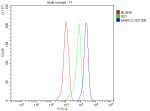 Flow Cytometry analysis of THP-1 cells using anti-MARCO antibody. Overlay histogram showing THP-1 cells stained with (Blue line). The cells were fixed with 4% paraformaldehyde and blocked with 10% normal goat serum. And then incubated with rabbit anti-MARCO antibody (1 ug/million cells) for 30 min at 20oC. DyLight 488 conjugated goat anti-rabbit IgG (5-10 ug/million cells) was used as secondary antibody for 30 minutes at 20oC. Isotype control antibody (Green line) was rabbit IgG (1 ug/million cells) used under the same conditions. Unlabelled sample without incubation with primary antibody and secondary antibody (Red line) was used as a blank control.