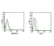 Rabbit IgG isotype control antibody FITC conjugate FACS mouse samples