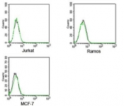 Rabbit IgG isotype control antibody FITC conjugate FACS human samples