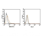 Rabbit IgG isotype control antibody PE conjugate FACS mouse samples