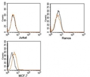 Rabbit IgG isotype control antibody PE conjugate FACS human samples